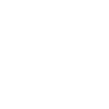 Unilever logo 2
